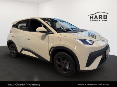 BYD Dolphin Surf Neuwagen