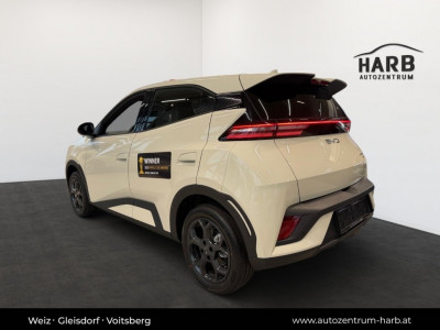 BYD Dolphin Surf Neuwagen