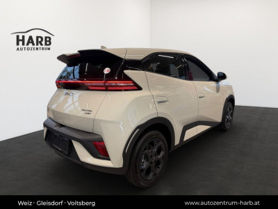 BYD Dolphin Surf Neuwagen