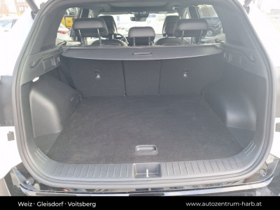 KIA Sportage Vorführwagen
