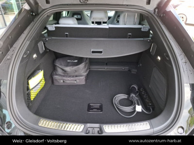 BYD Sealion 7 Neuwagen