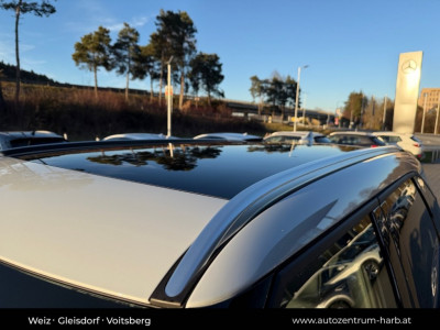 BYD Atto 2 Neuwagen BYD Atto 2 Neuwagen