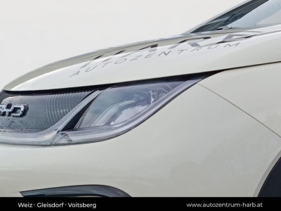 BYD Dolphin Vorführwagen