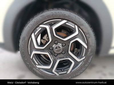 BYD Dolphin Vorführwagen