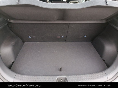 BYD Dolphin Vorführwagen