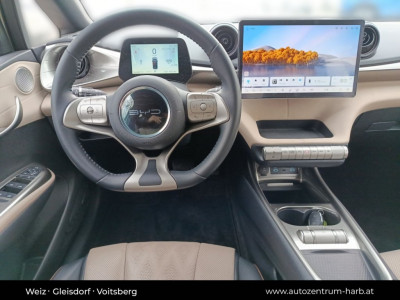 BYD Dolphin Vorführwagen