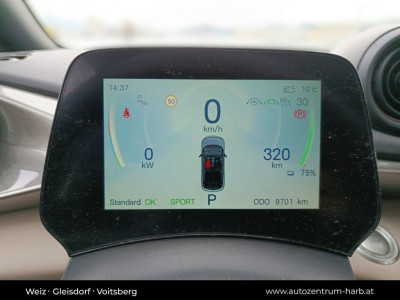 BYD Dolphin Vorführwagen