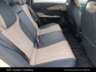 BYD Dolphin Vorführwagen