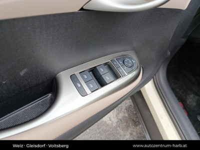 BYD Dolphin Vorführwagen