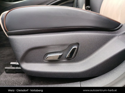 BYD Dolphin Vorführwagen