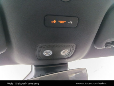 BYD Dolphin Vorführwagen