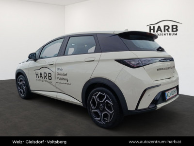 BYD Dolphin Vorführwagen