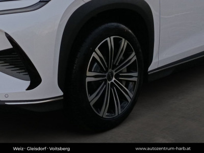 BYD Sealion 7 Neuwagen