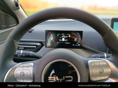 BYD Dolphin Surf Neuwagen