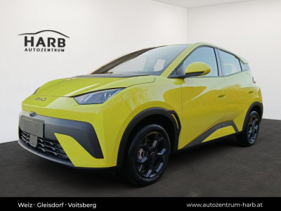 BYD Dolphin Surf Neuwagen