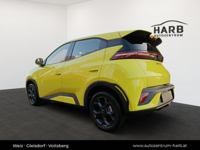 BYD Dolphin Surf Neuwagen