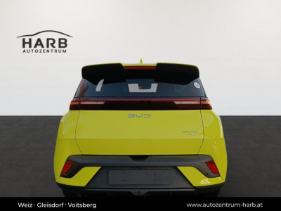 BYD Dolphin Surf Neuwagen