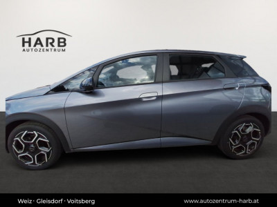 BYD Dolphin Vorführwagen