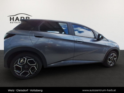 BYD Dolphin Vorführwagen