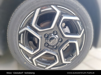 BYD Dolphin Vorführwagen