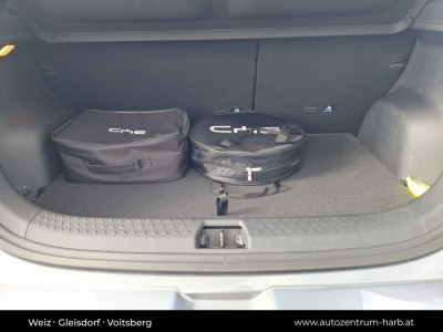 BYD Dolphin Vorführwagen