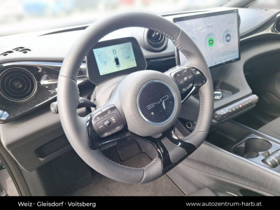 BYD Dolphin Vorführwagen