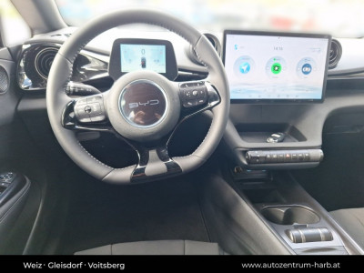 BYD Dolphin Vorführwagen