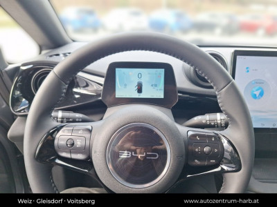 BYD Dolphin Vorführwagen