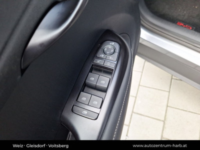 BYD Dolphin Vorführwagen