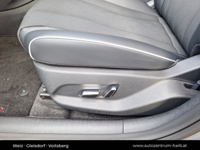 BYD Dolphin Vorführwagen