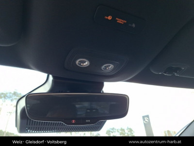 BYD Dolphin Vorführwagen