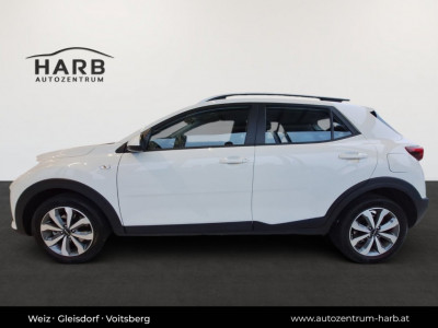 KIA Stonic Gebrauchtwagen