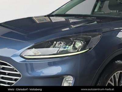 Ford Kuga Gebrauchtwagen