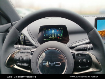 BYD Atto 3 Neuwagen BYD Atto 3 Neuwagen