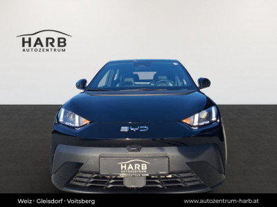 BYD Dolphin Surf Neuwagen