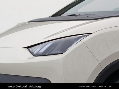 BYD Dolphin Surf Neuwagen