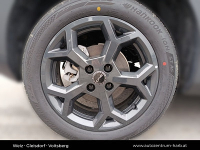 BYD Dolphin Surf Neuwagen