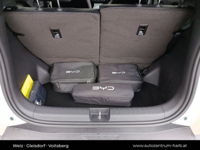 BYD Dolphin Surf Neuwagen