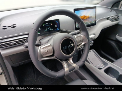 BYD Dolphin Surf Neuwagen