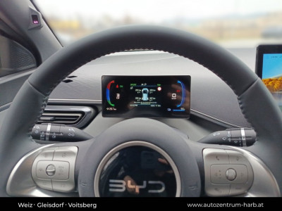 BYD Dolphin Surf Neuwagen