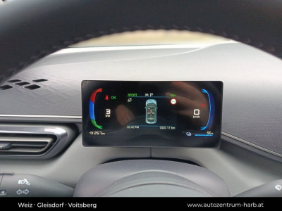 BYD Dolphin Surf Neuwagen