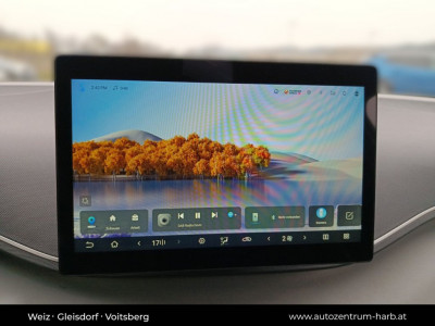 BYD Dolphin Surf Neuwagen