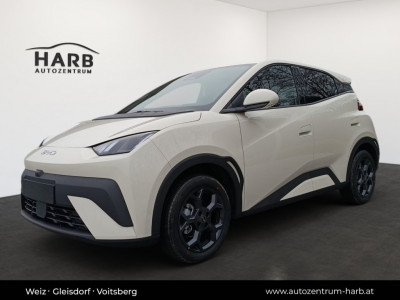 BYD Dolphin Surf Neuwagen