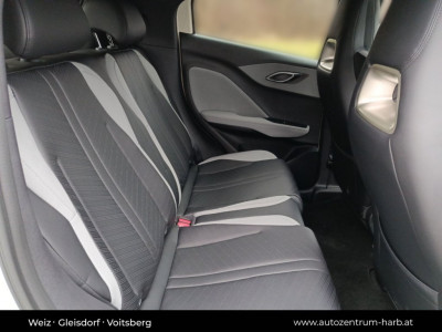 BYD Dolphin Surf Neuwagen