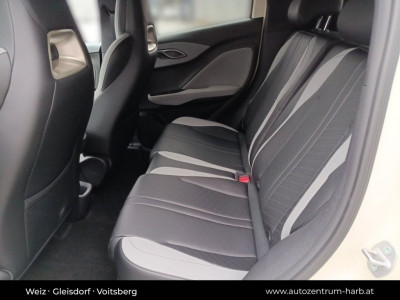 BYD Dolphin Surf Neuwagen