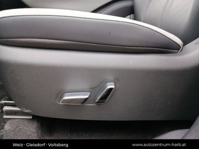 BYD Dolphin Surf Neuwagen