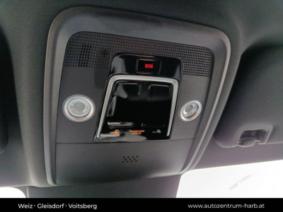 BYD Dolphin Surf Neuwagen