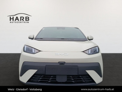 BYD Dolphin Surf Neuwagen