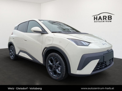 BYD Dolphin Surf Neuwagen