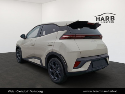 BYD Dolphin Surf Neuwagen